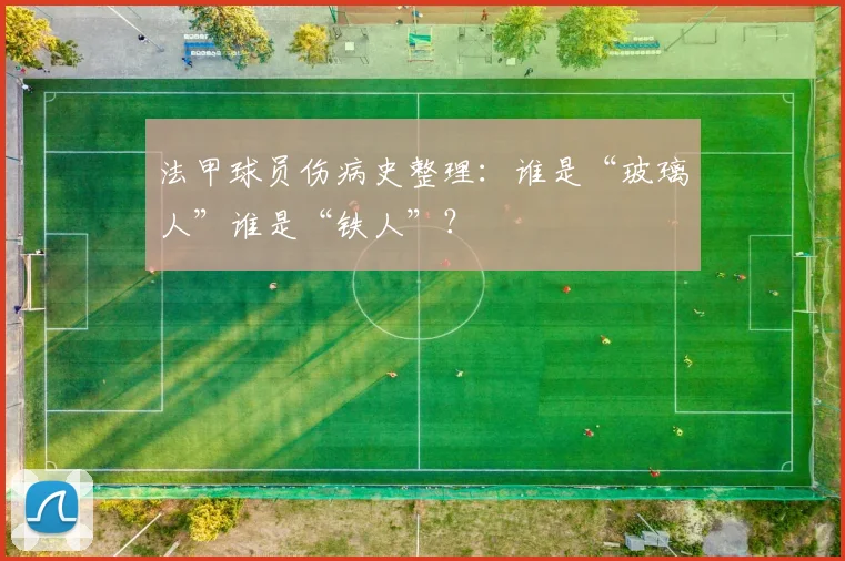 法甲球员伤病史整理：谁是“玻璃人”谁是“铁人”？