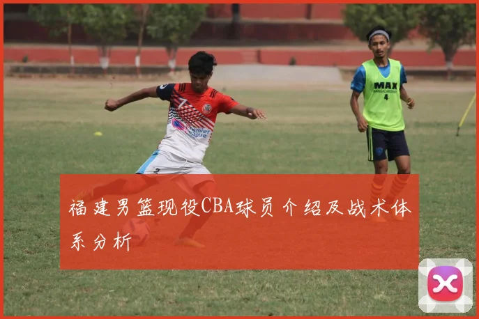 福建男篮现役CBA球员介绍及战术体系分析