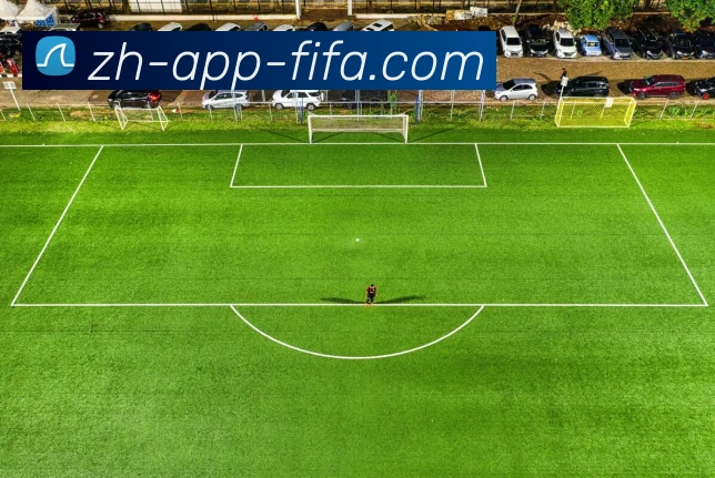 世界杯买球发展历程